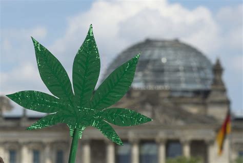 cannabis legalisierung bundestag